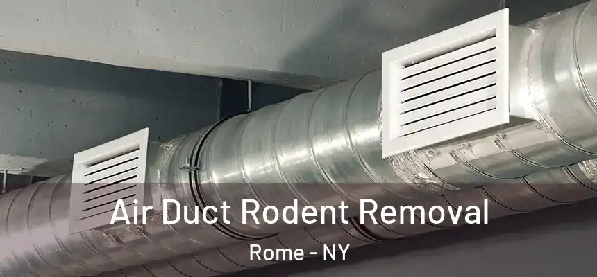 Air Duct Rodent Removal Rome - NY