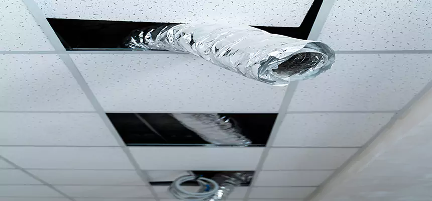 Our Air Duct Pet Hair Removal Services in Rome, NY