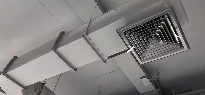 Restorative Allergy Relief Vent Cleaning – Coil, Blower & Housing Detail in Rome