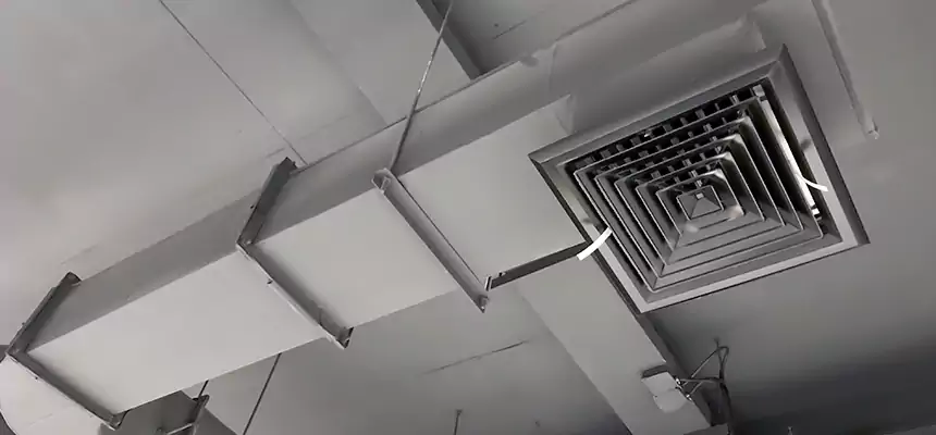 Our Pest Removal From Ducts Services in Rome, NY