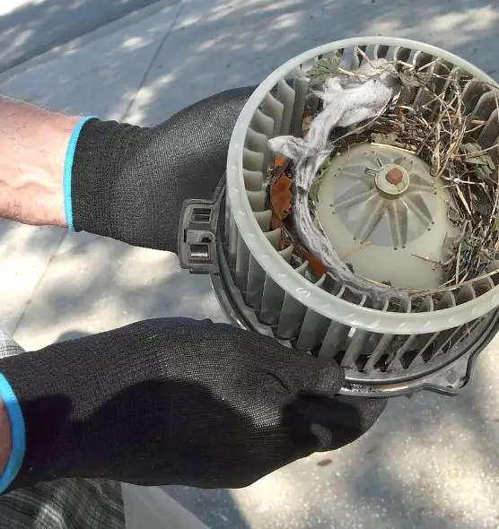 About Air Duct Rat Removal in Rome, NY