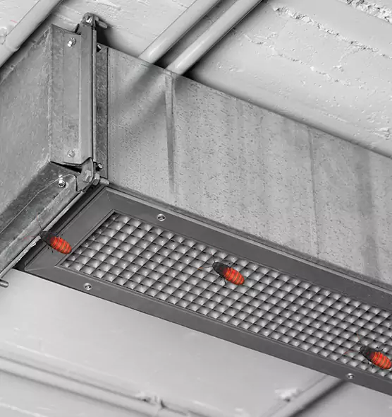 Affordable Insect Removal from Air Ducts in Rome, NY
